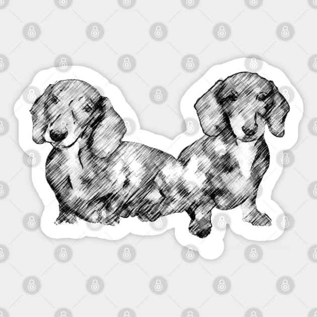 Two Dachshund Puppies Line Drawing Style Sticker by tribbledesign